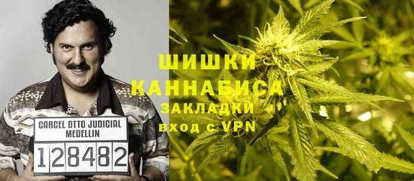 шишки Алзамай