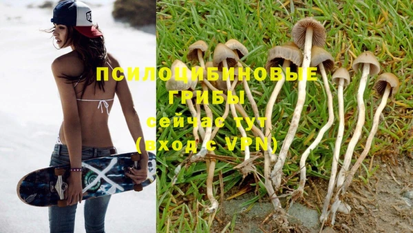 шишки Алзамай