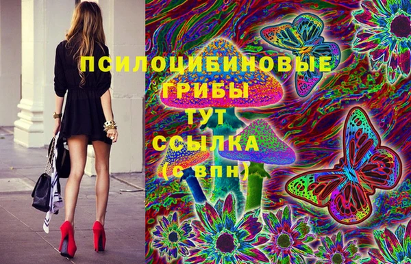 амф Абаза